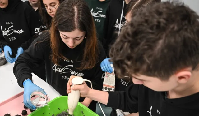 Tohum bombaları toprakla buluşacak