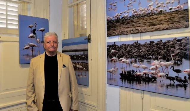 Flamingo Adası Bornova’da sanatseverlerle buluştu