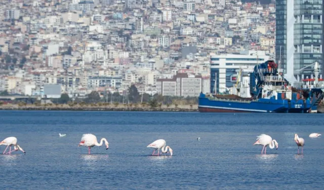 İzmir’in iklim krizi ile mücadelesi güçleniyor