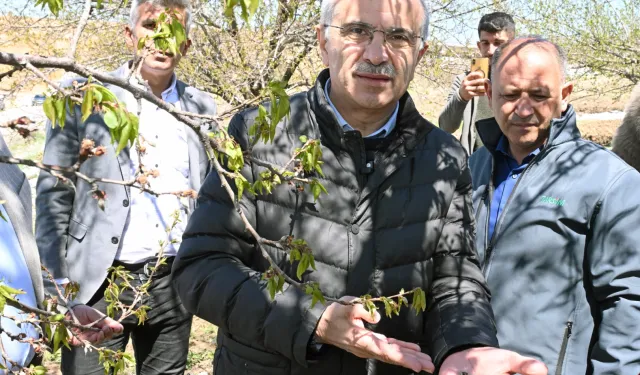 Malatya'da kar ve don mağduriyeti incelemesi