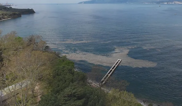 Müsilaj Gemlik Körfezi'nde yeniden görüldü