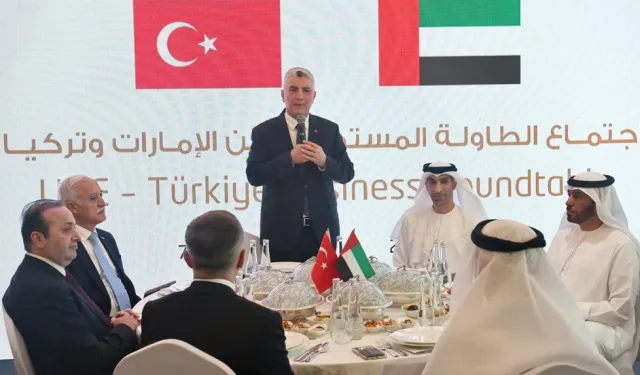 Türkiye ve BAE üçüncü ülkeler iş birliği hedefliyor