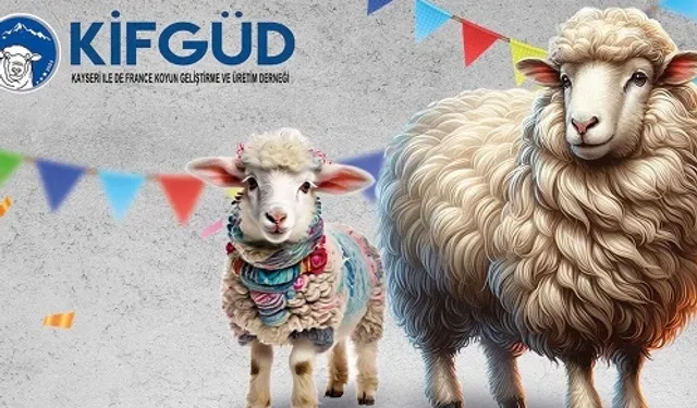 Kayseri Talas'ta France ırkına özel festival