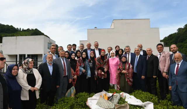 Ortahisar'da yeni bir çay fabrikası kuruluyor