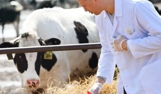 Tarımsal girdi Mart'ta yükseldi... Veteriner harcamaları revaçta