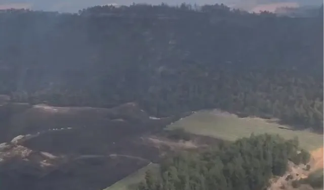 Bolu ve Bilecik’te yangınlar kontrol altında! Sakarya ve Manisa'dan sevindirici haberler bekleniyor
