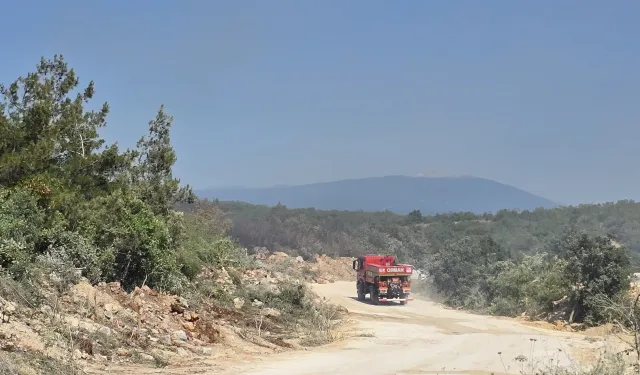 Bursa Nilüfer’de yangın! Söndürüldü