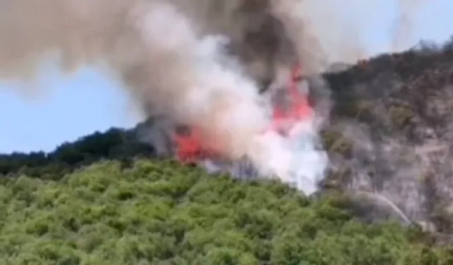 Bursa'da Yenişehirli çiftçilerden yangın seferberliği