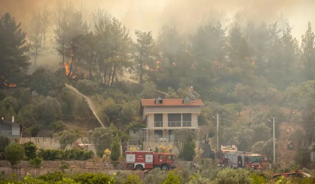 İzmir Büyükşehir'den yangınların bilançosu