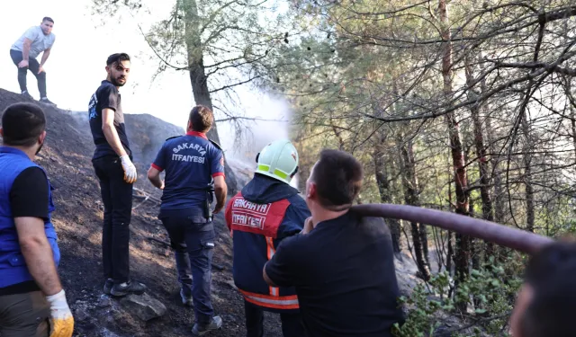 Sakarya’daki orman yangını kontrol altında: 3 gözaltı!
