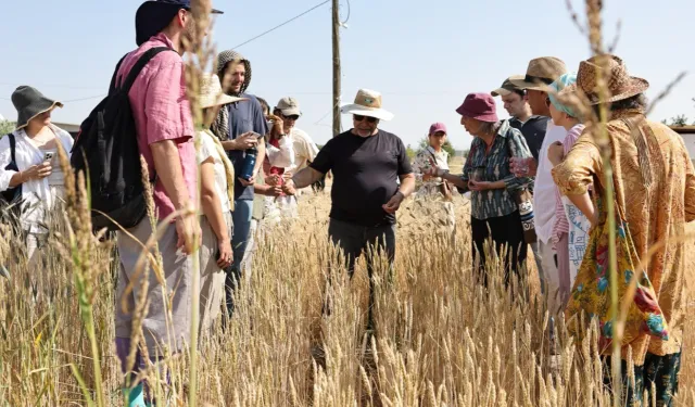 Slow Wheat Şanlıurfa 2025 coşkusu