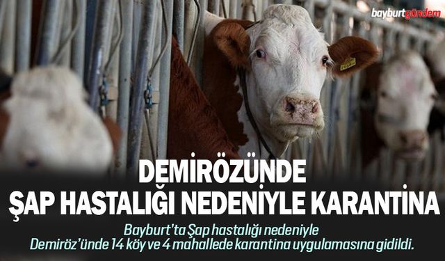 Demiröz’ünde Şap hastalığı nedeniyle karantina