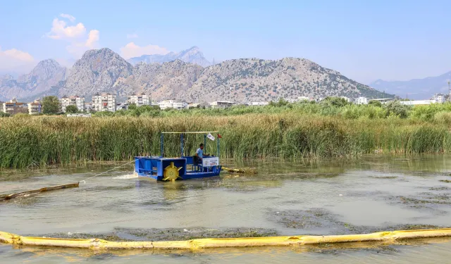 Antalya Boğaçayı’nda ekolojik temizlik devam ediyor