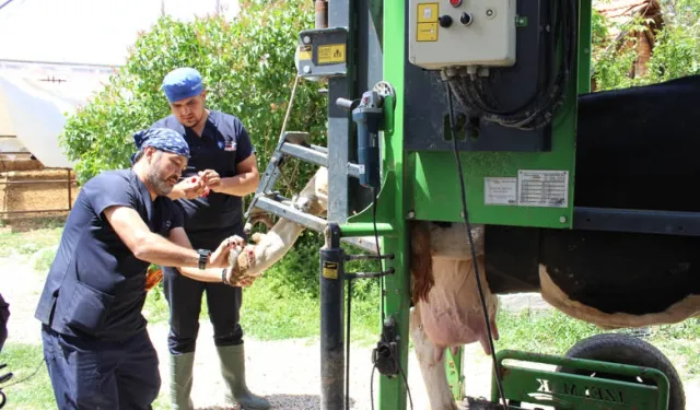 Antalya Büyükşehir’den çobanlara destek