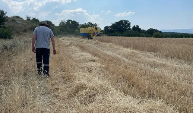Bursa Büyükşehir'den kırsaldaki üreticiye biçerdöver desteği