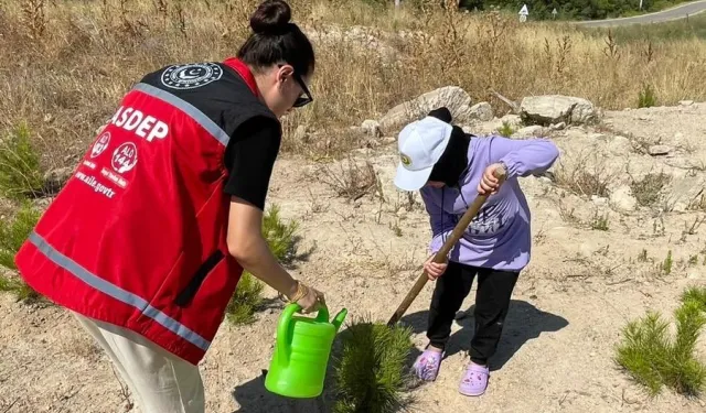 Bursa Gemlik'te aileler ve çocuklar orman ve doğa aşısı