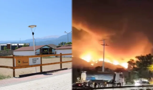 Bursa'da yangından etkilenen hayvanlara el açtılar