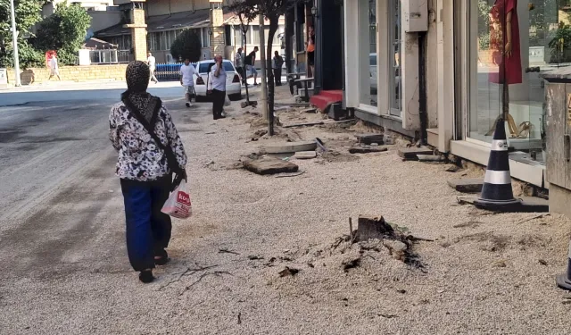 Edirne Keşan’da kaldırım için ağaç kesimine tepki!