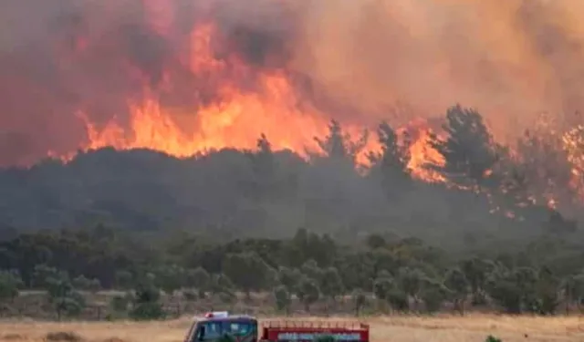 Eskişehir yangını sonrasında Aile'den psikososyal destek