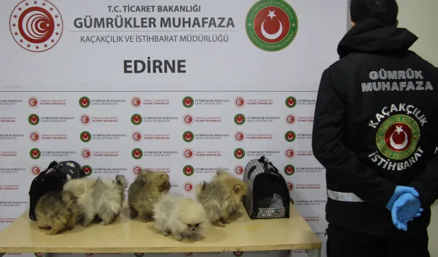 Gümrüklerde yılın ilk yarısında 35,5 milyar TL'lik kaçak eşya yakalandı... Gümrüklerde yakalamalar yüzde 199 arttı