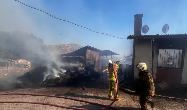 İzmir Bayındır’da ot yangını yerleşimi tehdit etti... 100 kişi tahliye edildi