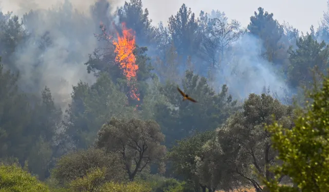 İzmir Buca için Bornova Belediyesi seferber oldu
