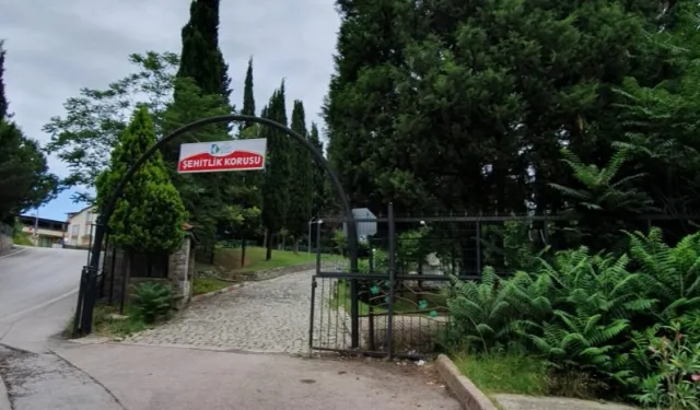 İzmit Şehitlik Korusu’nda mangal yasaklandı