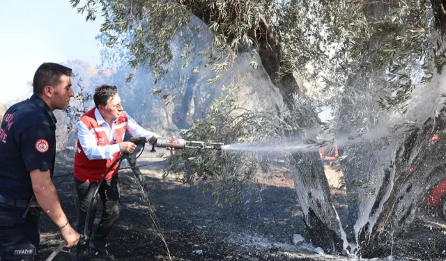Muğla itfaiyesinden artan sıcaklar sonrası yangın uyarısı