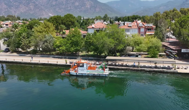 Muğla'nın doğal güzellikleri Büyükşehir eliyle korunuyor