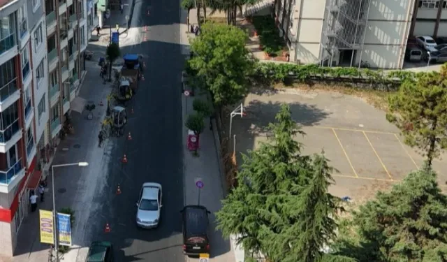 Ordu Büyükşehir'den estetik dokunuş