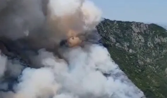 Sakarya Geyve'de orman yangınına yoğun müdahale
