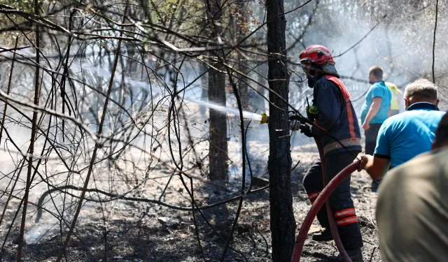 Sakarya İtfaiyesi yangın bölgelerinde tüm gücüyle müdahalede