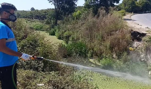 Sakarya'da dere yatakları, kanallar, bataklıklar ve göletlere tek tek ulaşıyorlar