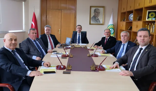 Trakyabirlik: Yağlık ayçiçeği üretiminde kontenjanı yürürlükte