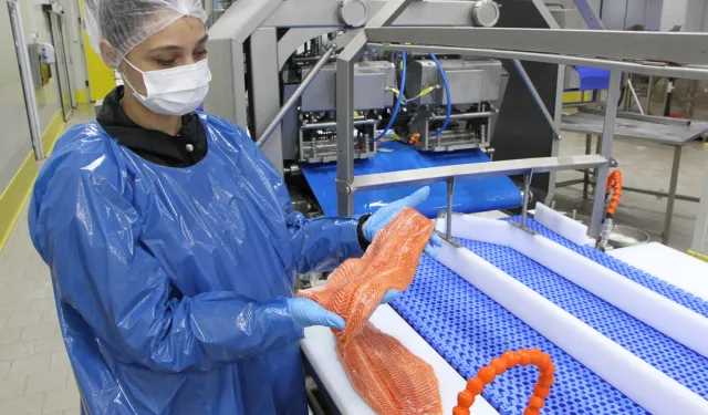 Türk somonu ihracatı rekor kırıyor... 2035 hedefi 1 milyar dolar