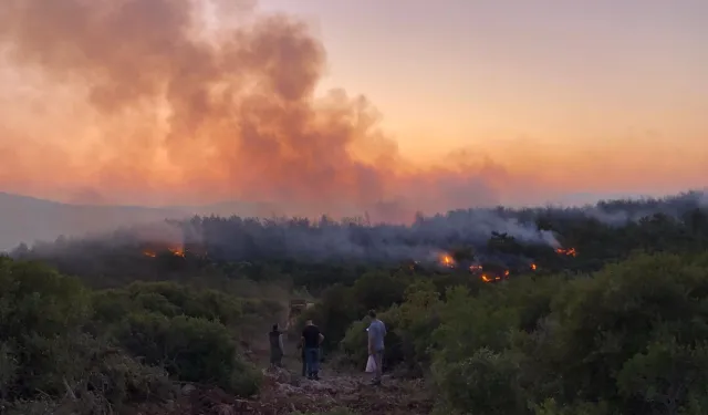Urla’da yangın kontrol altına alındı