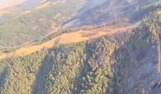 Uşak ve Bilecik’te yangınlar kontrol altında... Sakarya Geyve’de mücadele sürüyor