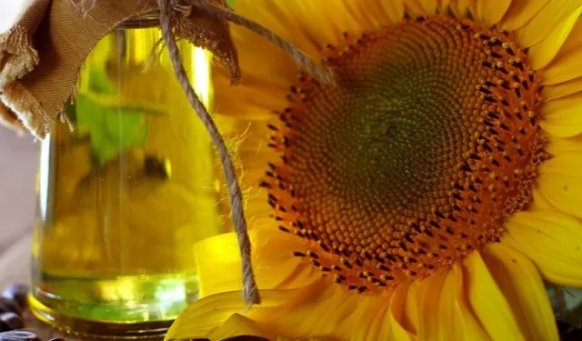 Yağlık ayçiçeği tohumu ve ham yağ ithalatına kontenjan açıldı