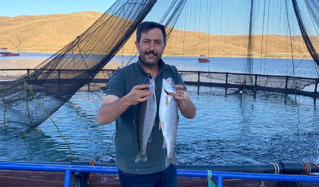 Demirözü Göletinden dünya sofralarına uzanan başarı hikayesi