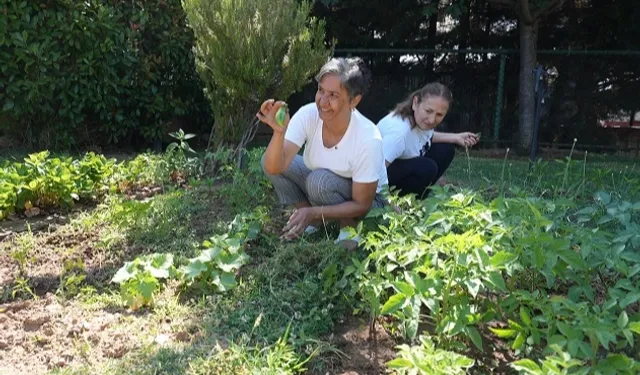 Altın Yıllar Yaşam Merkezi'nde hasat zamanı