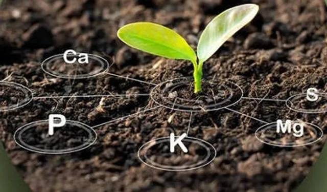 Antalya’da üreticiye tarım eğitimleri başlıyor