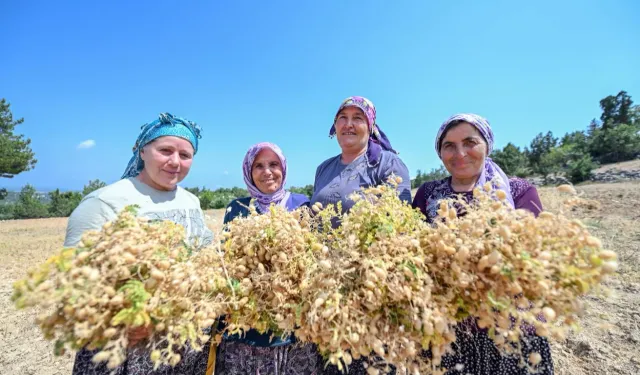 Atalık tohumlar geleceğe taşınıyor