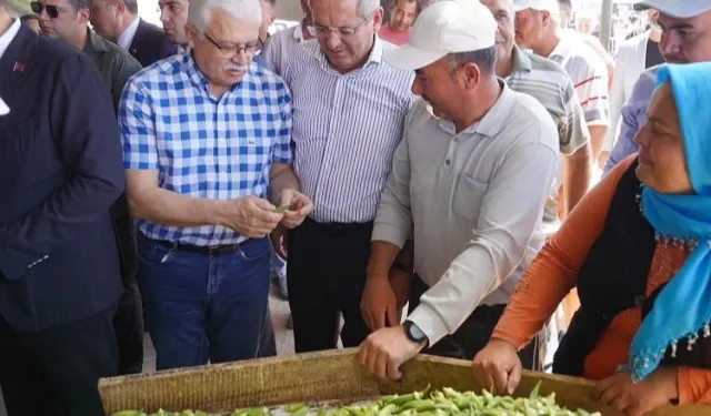 Balıkesir Ayvalık'ta çiftçilere özel destek