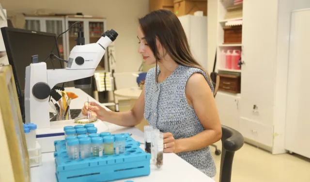 BTÜ Karacabey’in nadir böcek türlerini kayıt altına alacak