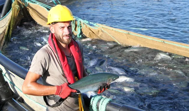 Bu filmin başrolünde Türk Somonu oynadı