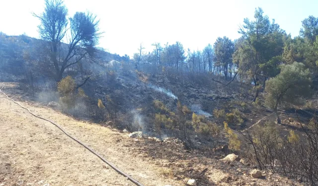 Buca ve Aliağa’da çıkan yangınlar kontrol altında