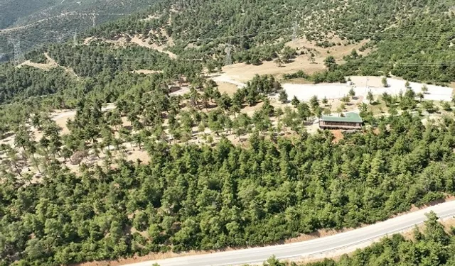 Bursa Gürsu'nun mesire alanı küllerden temizlendi