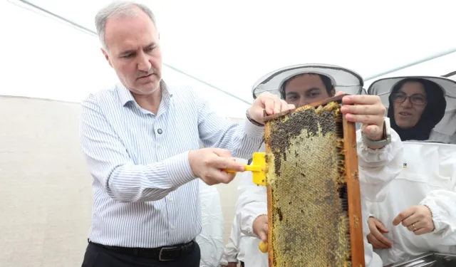 Bursa İnegöl bal üretiminde kalitesiyle dikkat çekti