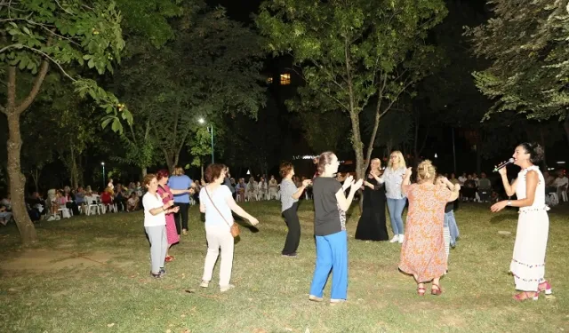 Bursa Nilüfer Ataevler'de renkli gece