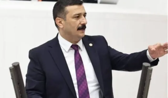 Bursa’nın “doğa incisi Longoz” neden kaderine terk edildi?